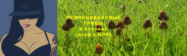дмт Волоколамск