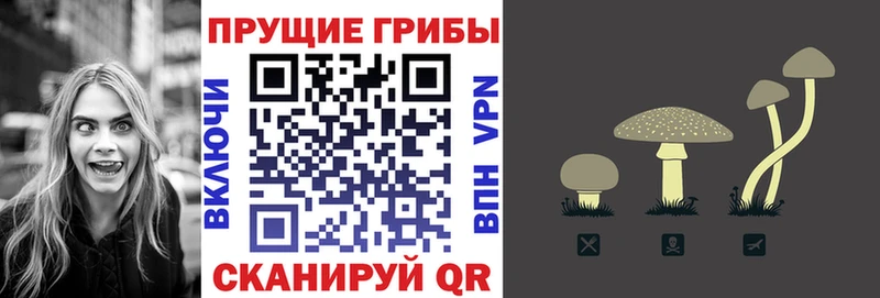 Галлюциногенные грибы Cubensis  Дорогобуж 